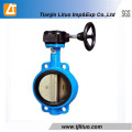 Gear Box Cast Iron Wafer Double Stem Butterfly Valve